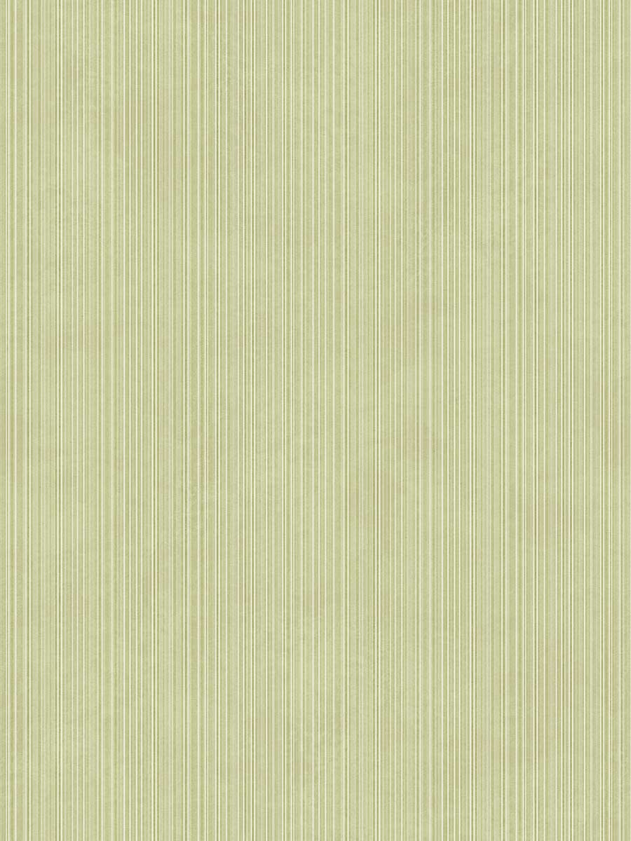 Concept-green-stripe تکسچر اسلب پرسلان طرح کانسپت استرایپ سبز